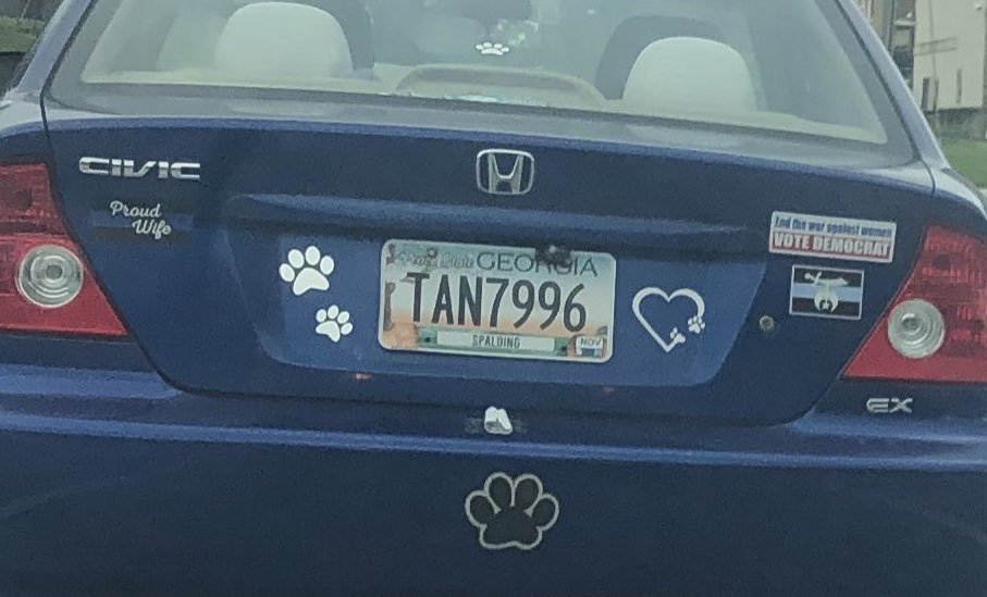 DeepSouth161 tweet media