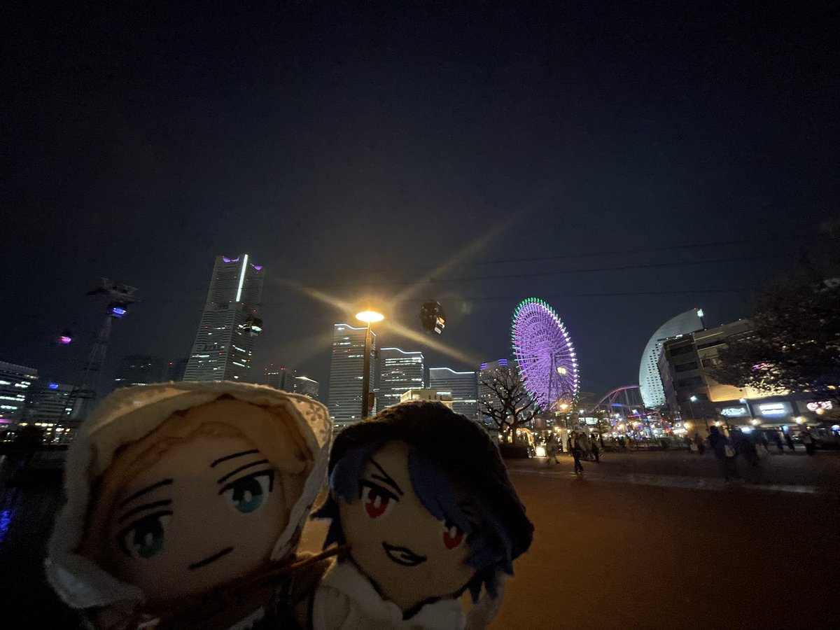 🎲まめ🎲 tweet media