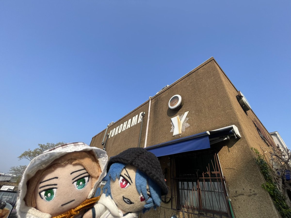 🎲まめ🎲 tweet media