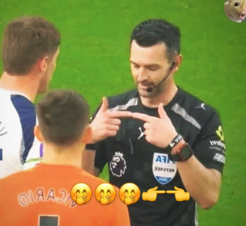 bibia de lioncourt tweet media