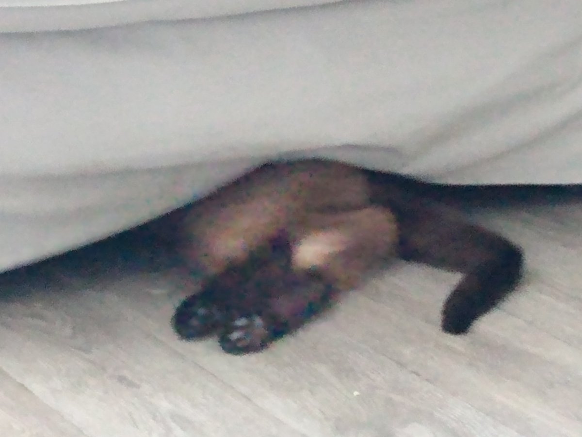 She'sComeUndone tweet media