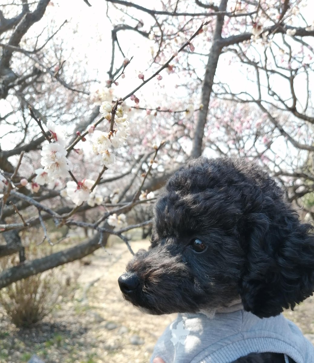 Yaguchi.H tweet media