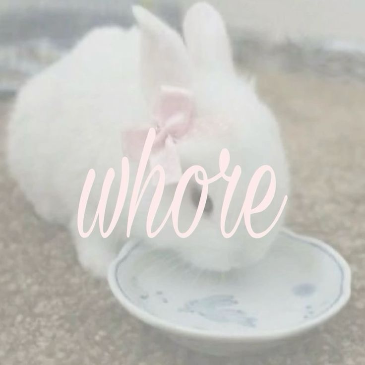 Fem Dazai of shedtwt tweet media