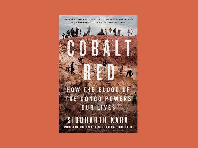 mandi book club tweet media