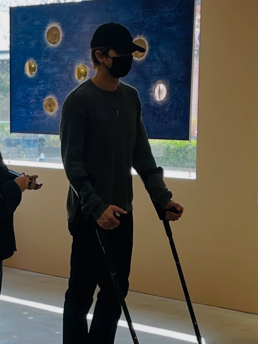 i am bonsai tweet media