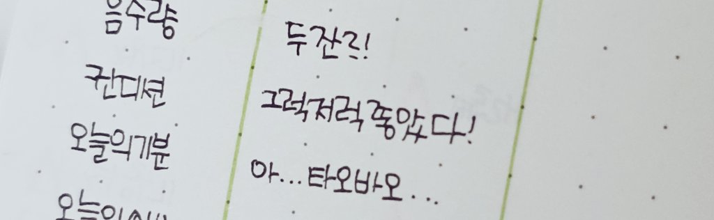 휴루마리두지 tweet media