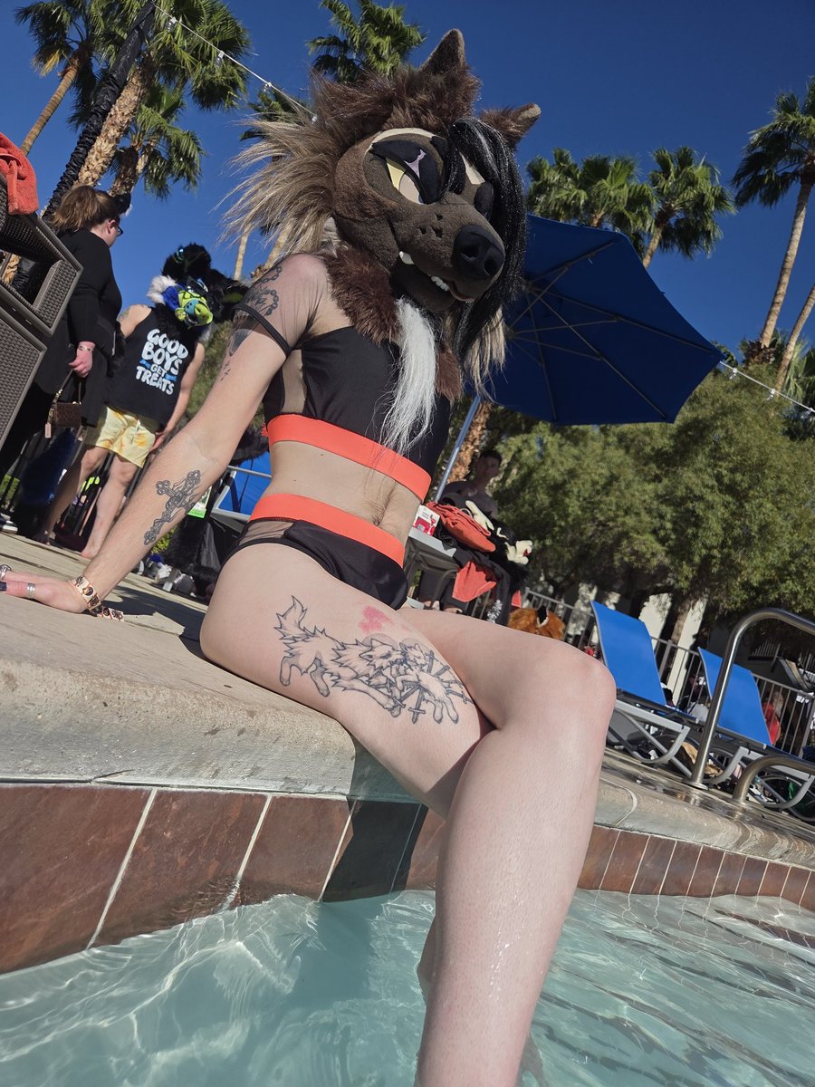 🔥🜏 𝔓𝔢𝔩𝔷𝔦 🜏🔥 🔜 LVFC tweet media