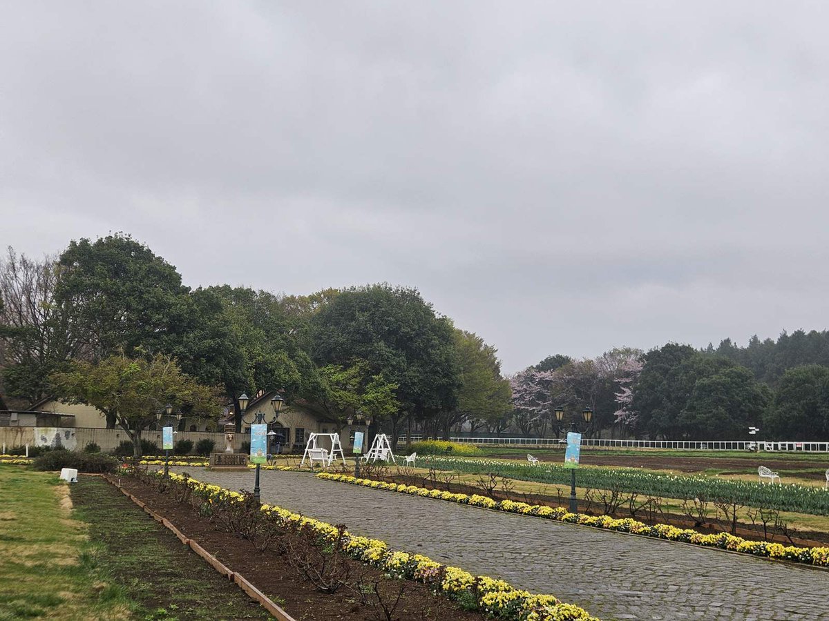 【公式】こもれび 森のイバライド tweet media