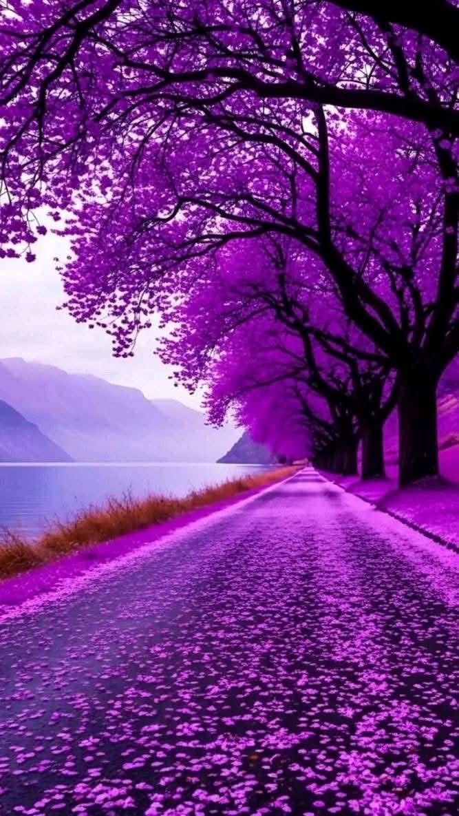 🔆 V 🔛 LOVE 🔆 tweet media