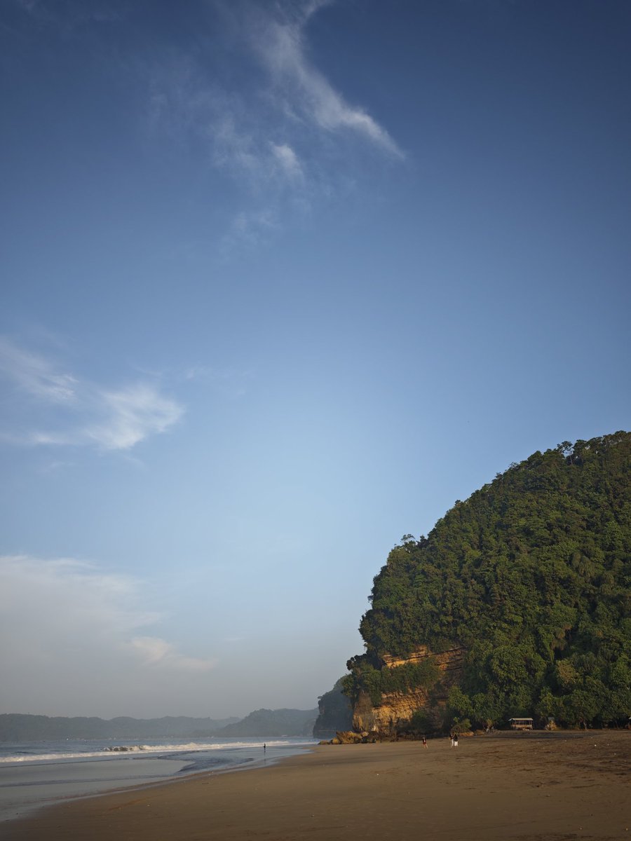 rexve crown tweet media