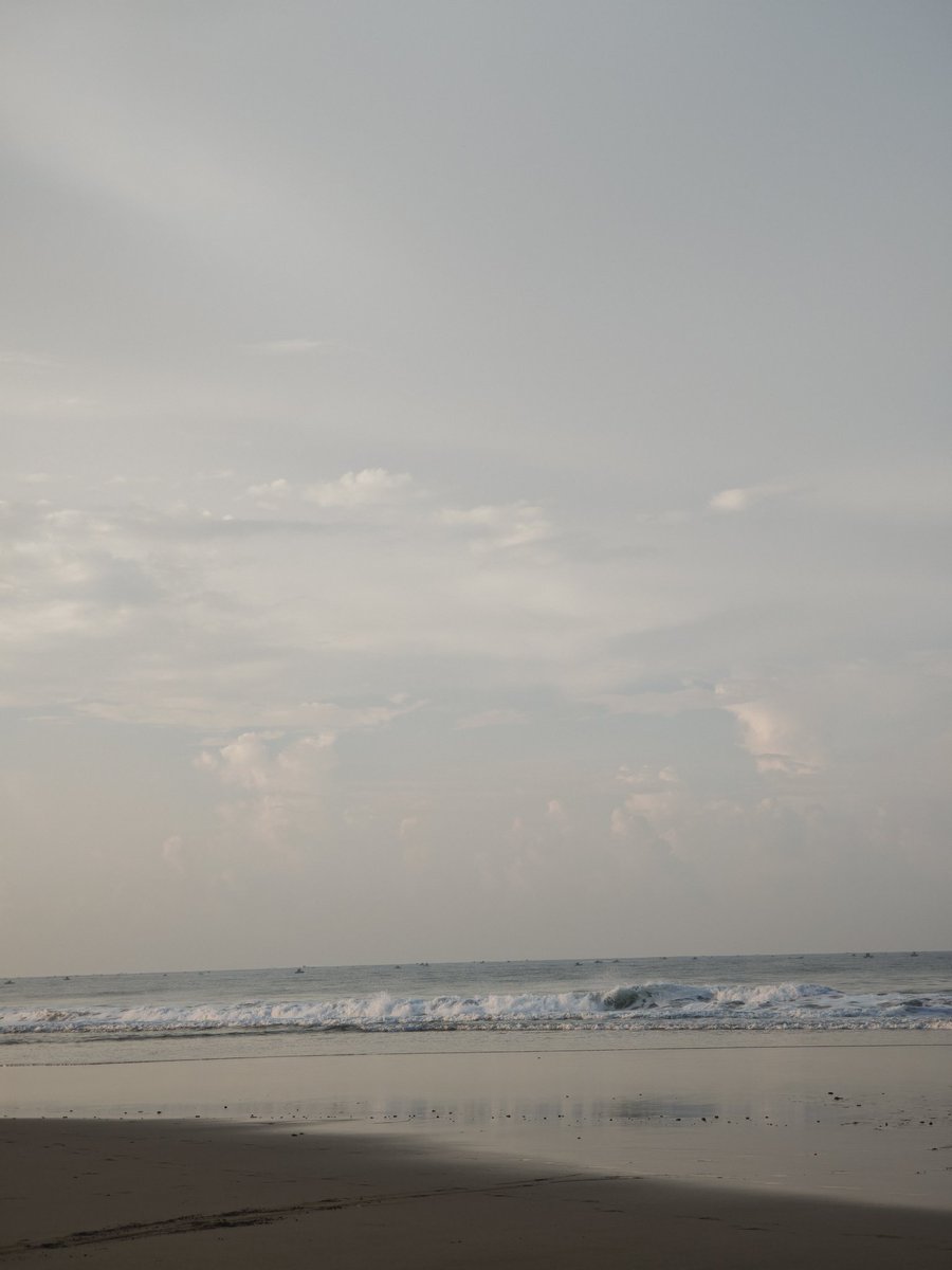 rexve crown tweet media