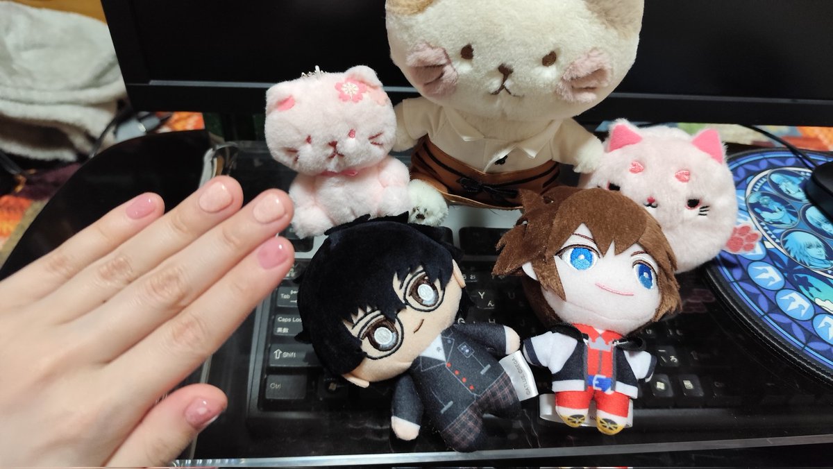 asept🐯自称最後のソラ使い tweet media