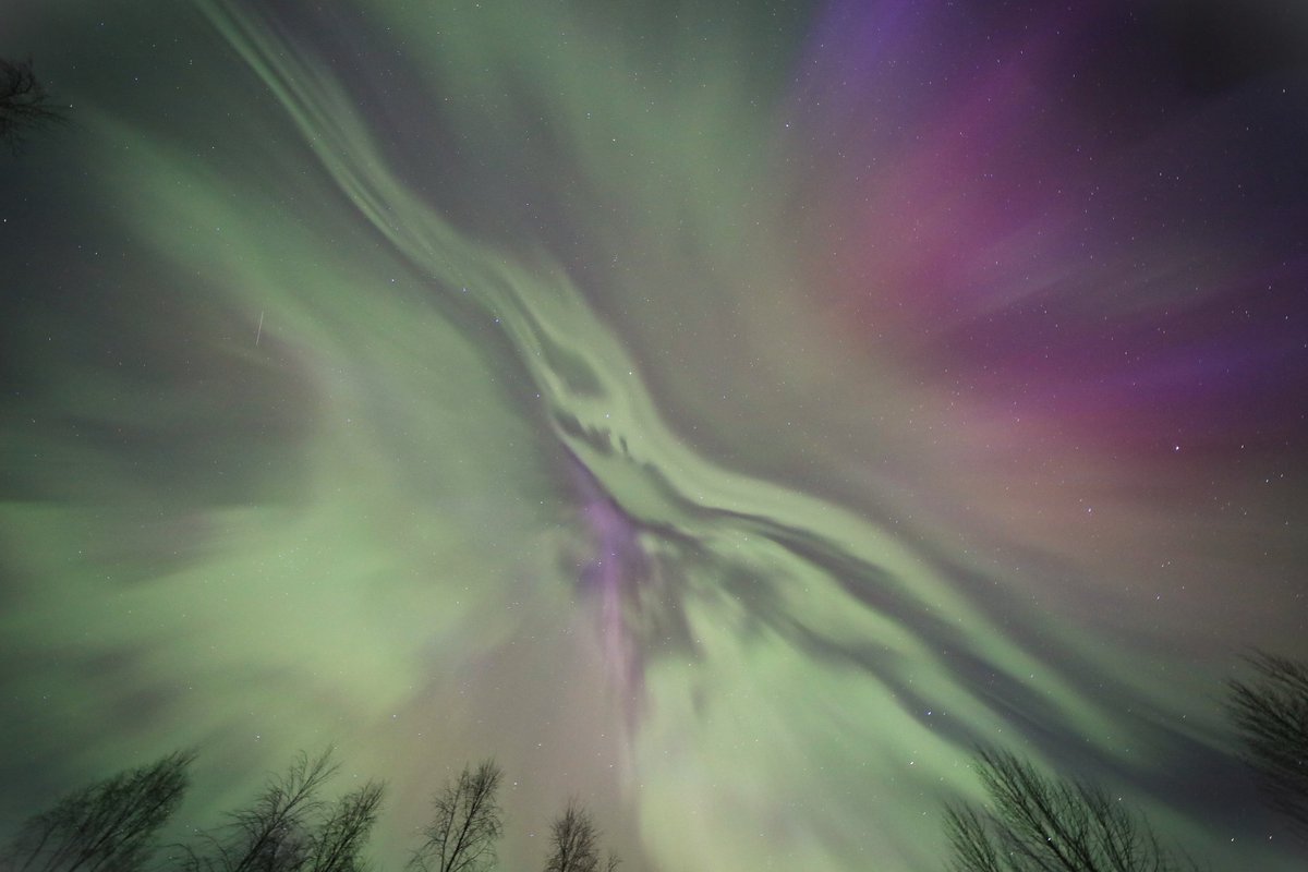 PHatunen's tweet image. Revontulia 3.4.2026 korkealla taivaalla Vaalassa.
#revontulia #auroraborealis #northernlights #Finland