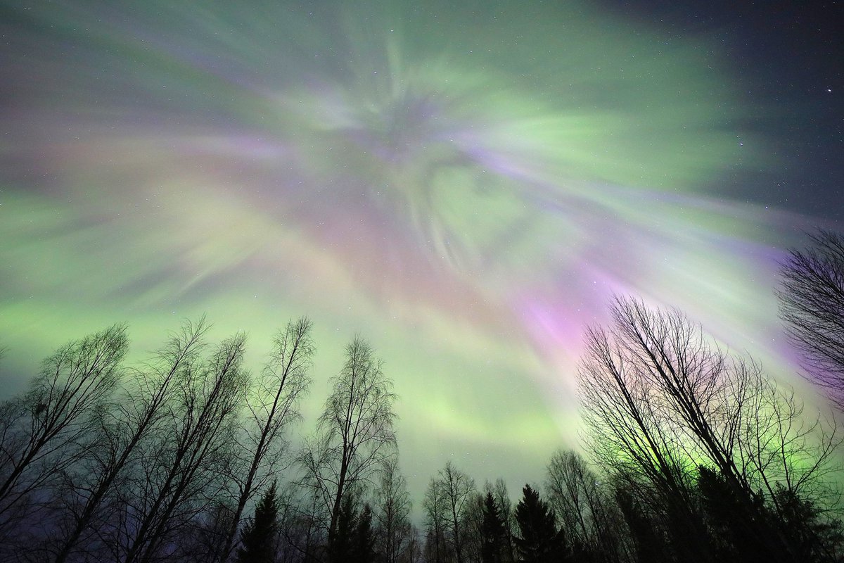 PHatunen's tweet image. Revontulia 3.4.2026 korkealla taivaalla Vaalassa.
#revontulia #auroraborealis #northernlights #Finland