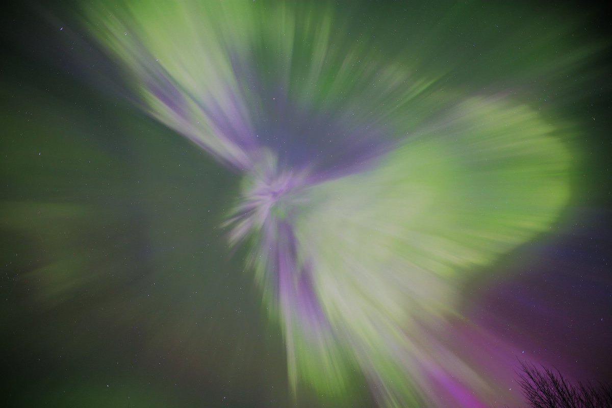 PHatunen's tweet image. Revontulia 3.4.2026 korkealla taivaalla Vaalassa.
#revontulia #auroraborealis #northernlights #Finland