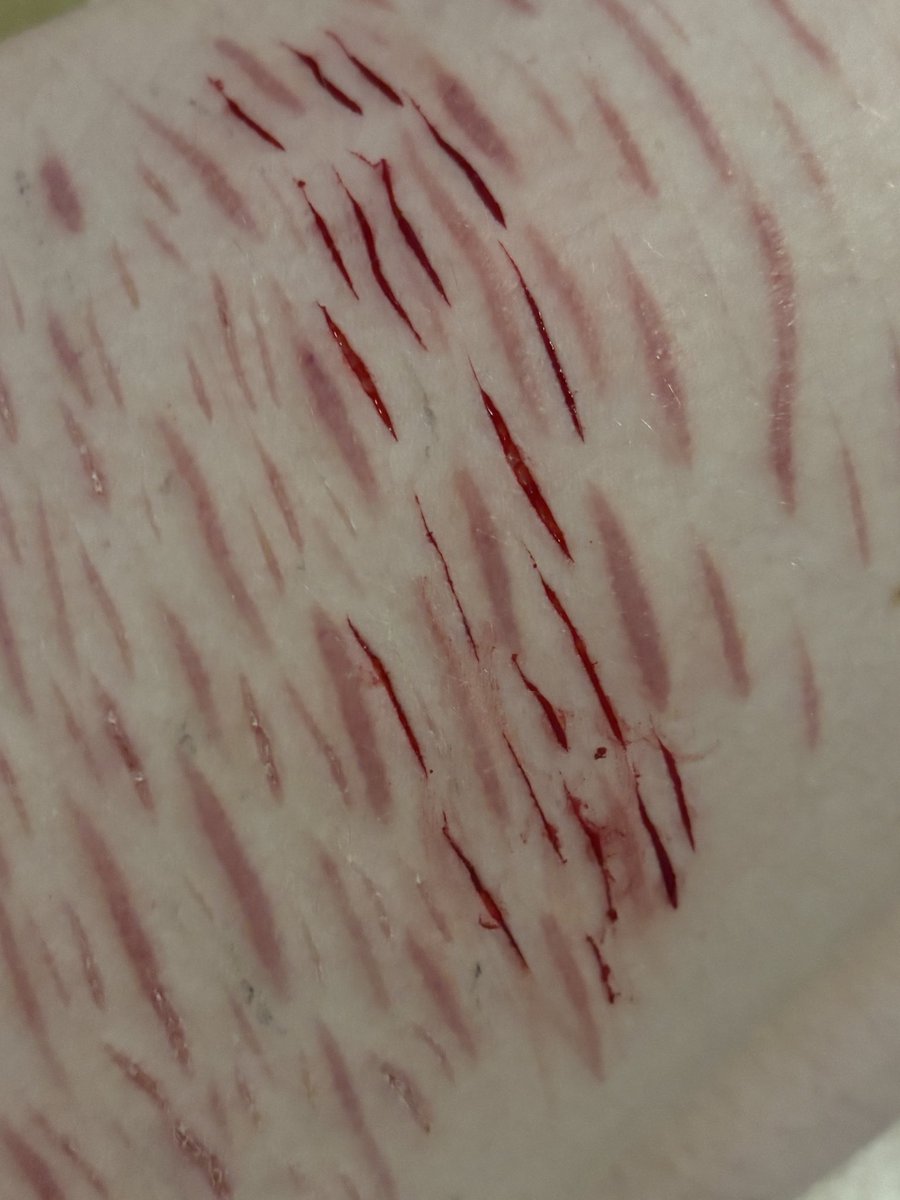 whatever tweet media