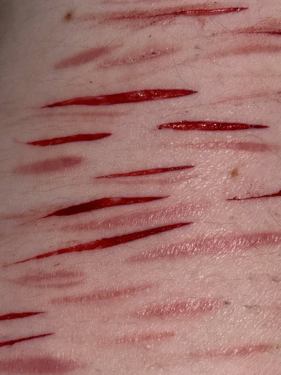 whatever tweet media