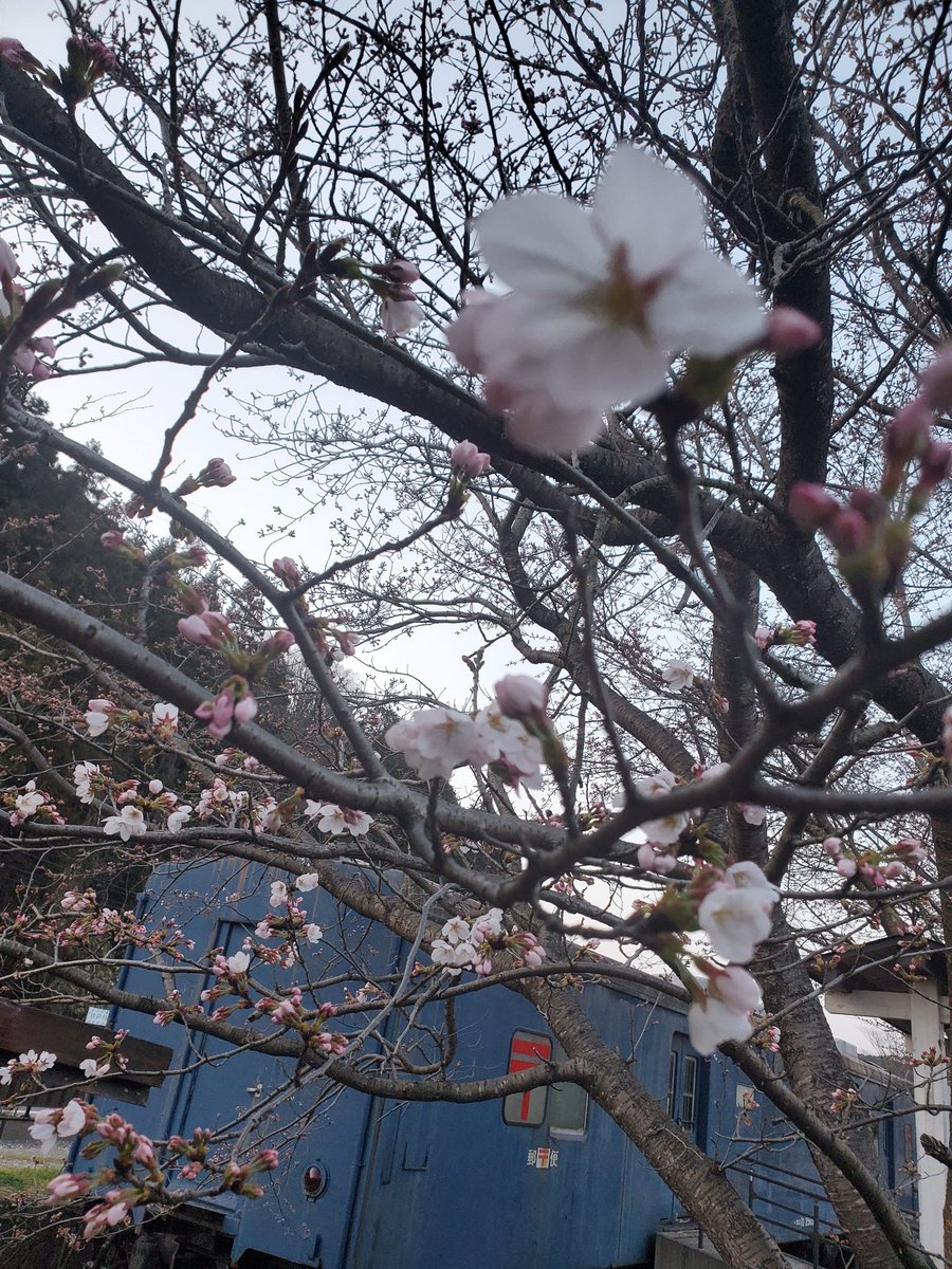 駅マルシェ わんだらぁず 能登中島 tweet media