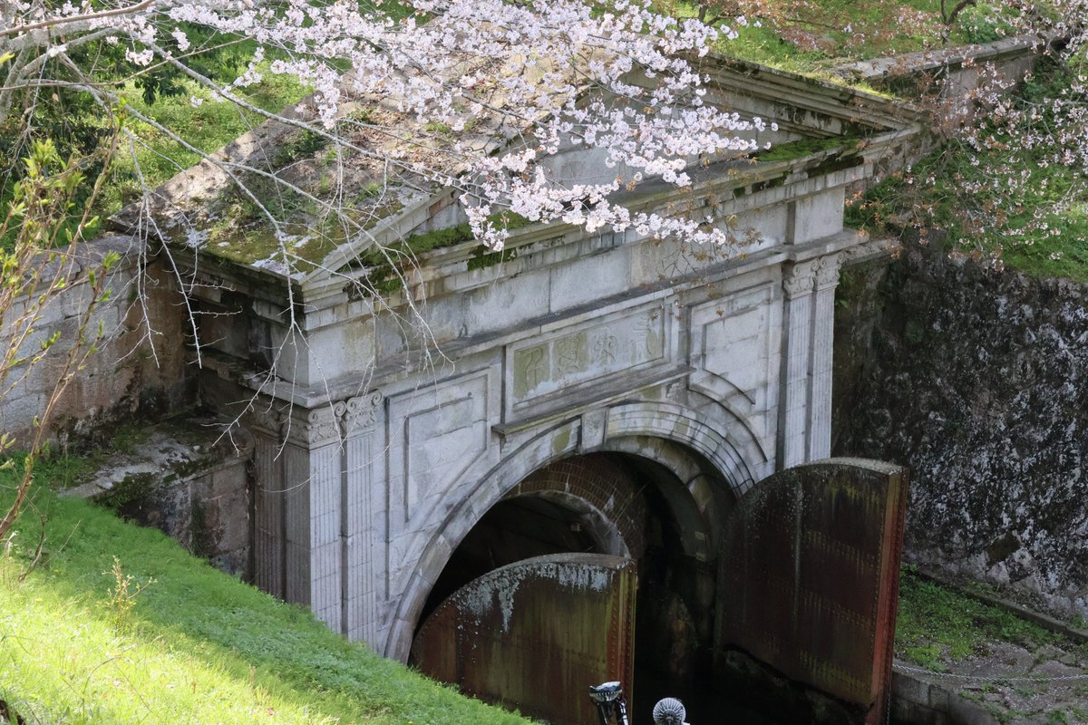 Kurasima22's tweet photo. 2026年4月3日　桜の季節の琵琶湖疏水・第一隧道門
明治23（1890）年からここにある。外国を見たことない職人さんたちがこの門をつくるって、どんな感じだったんだろう。広角レンズ撮影多めですが、この日は望遠レンズで📷
#建築さんぽ　#琵琶湖疏水　#滋賀桜 https://t.co/KrfydobKI6