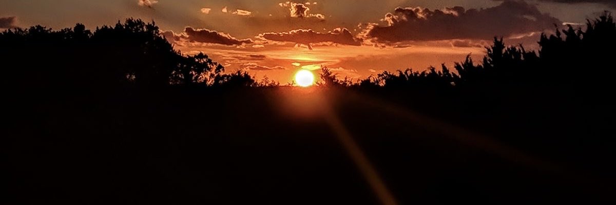 مَنار tweet media