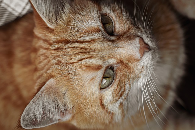 Steve Joyner tweet media