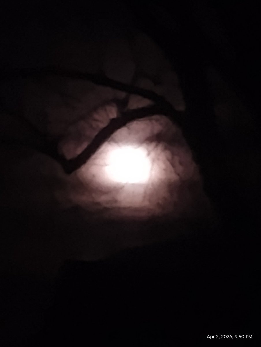 Faux Real tweet media