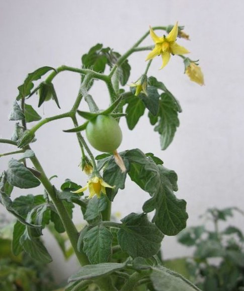 Jaclyn Leskin tweet media