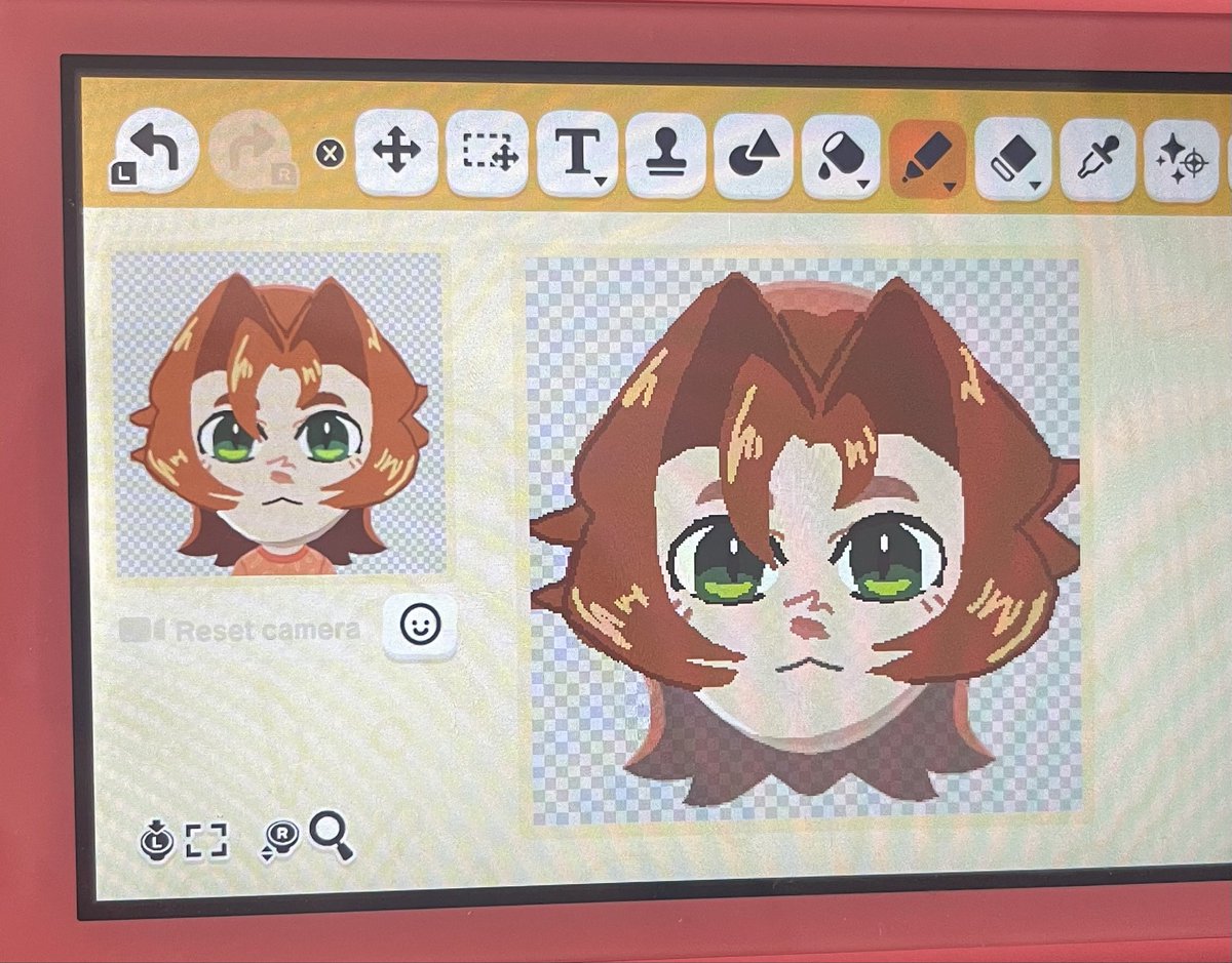 Kelp 🌱⭐️ tweet media