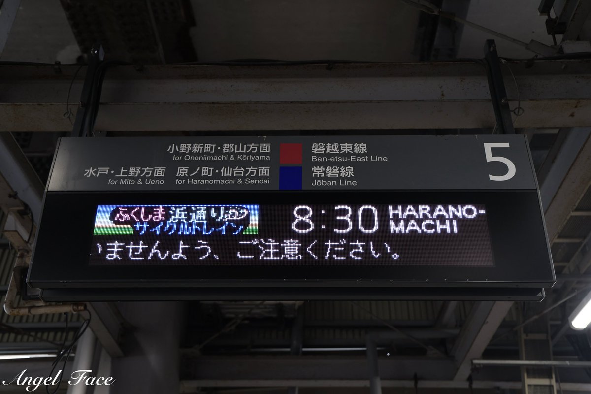 エンジェルフェイス tweet media