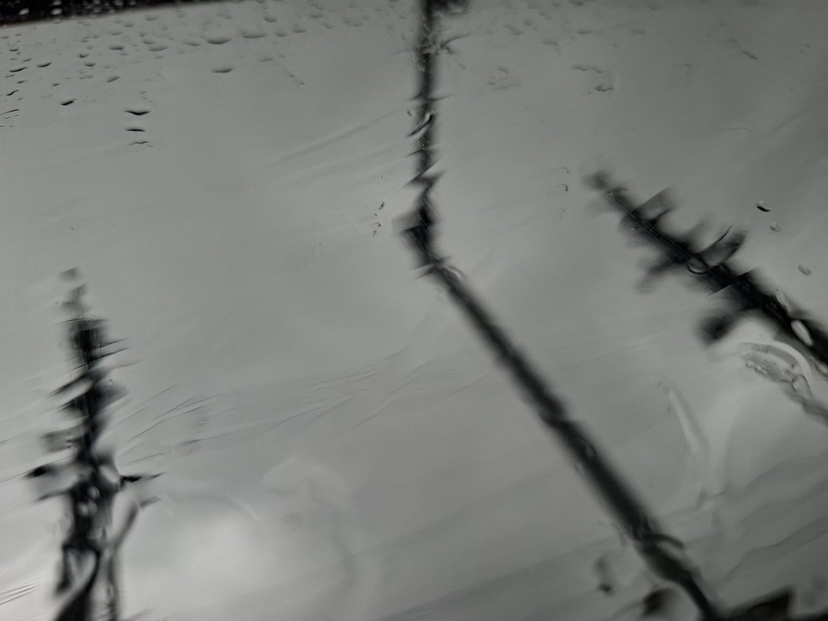 フェニックスバーガー tweet media