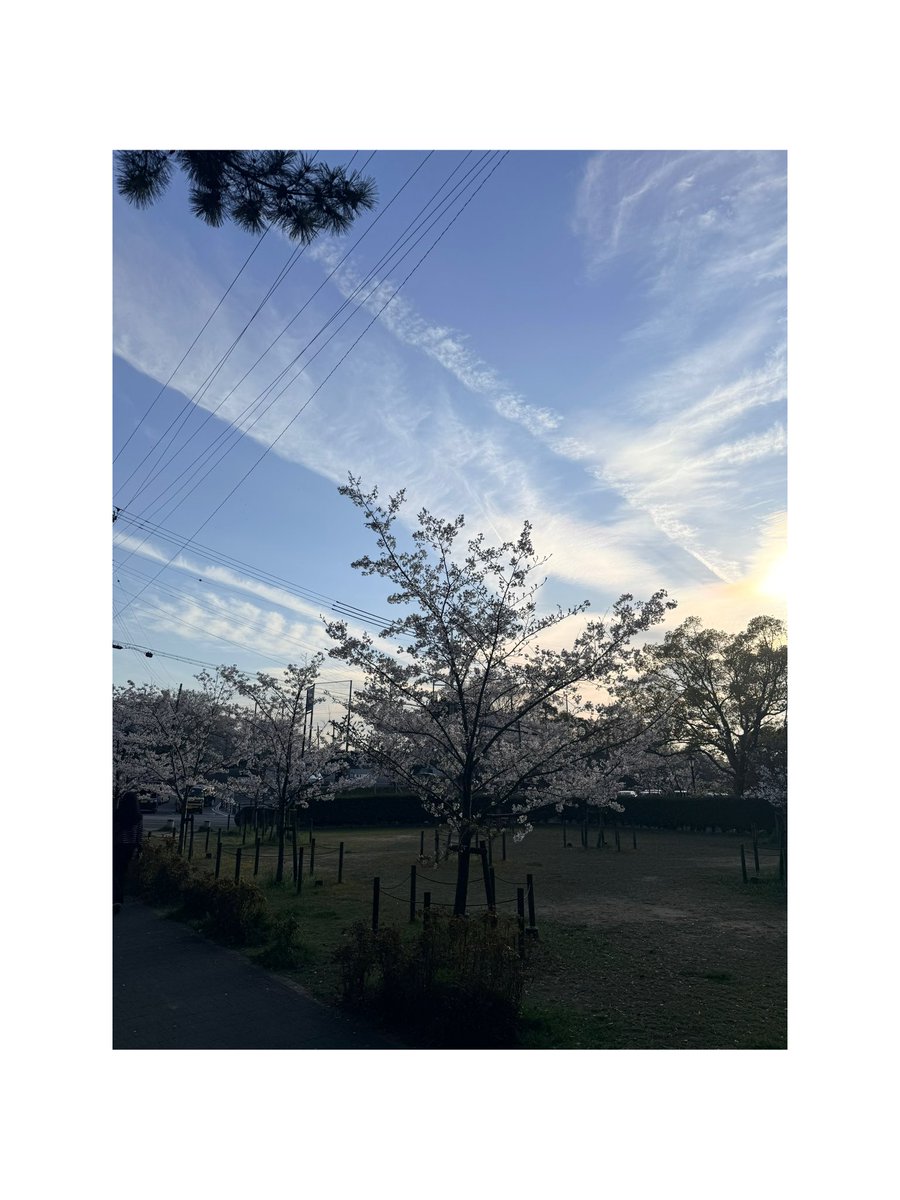 石原凪紗 tweet media