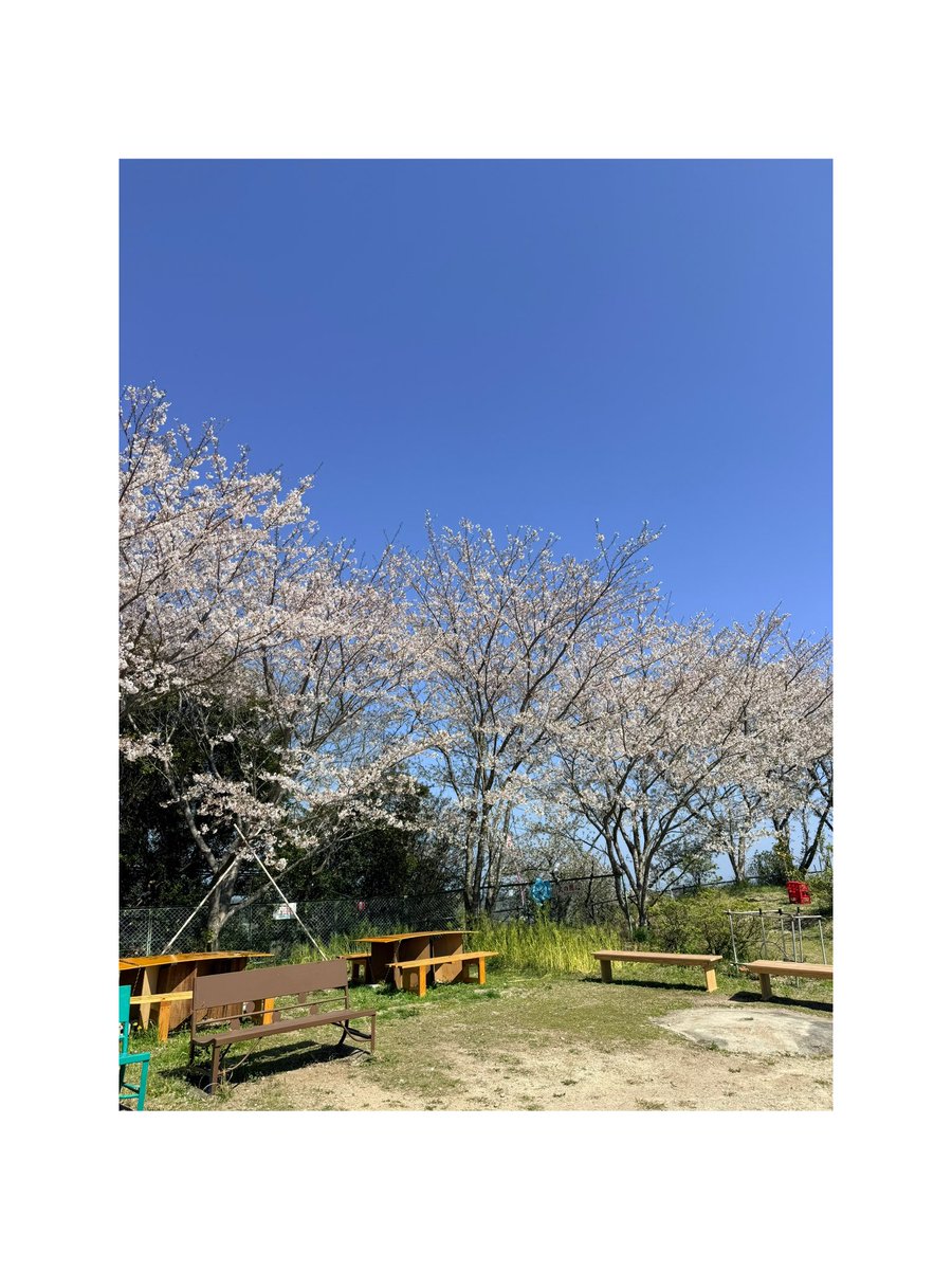 石原凪紗 tweet media