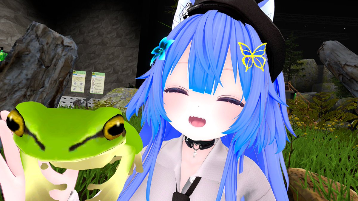 アマガエル tweet media