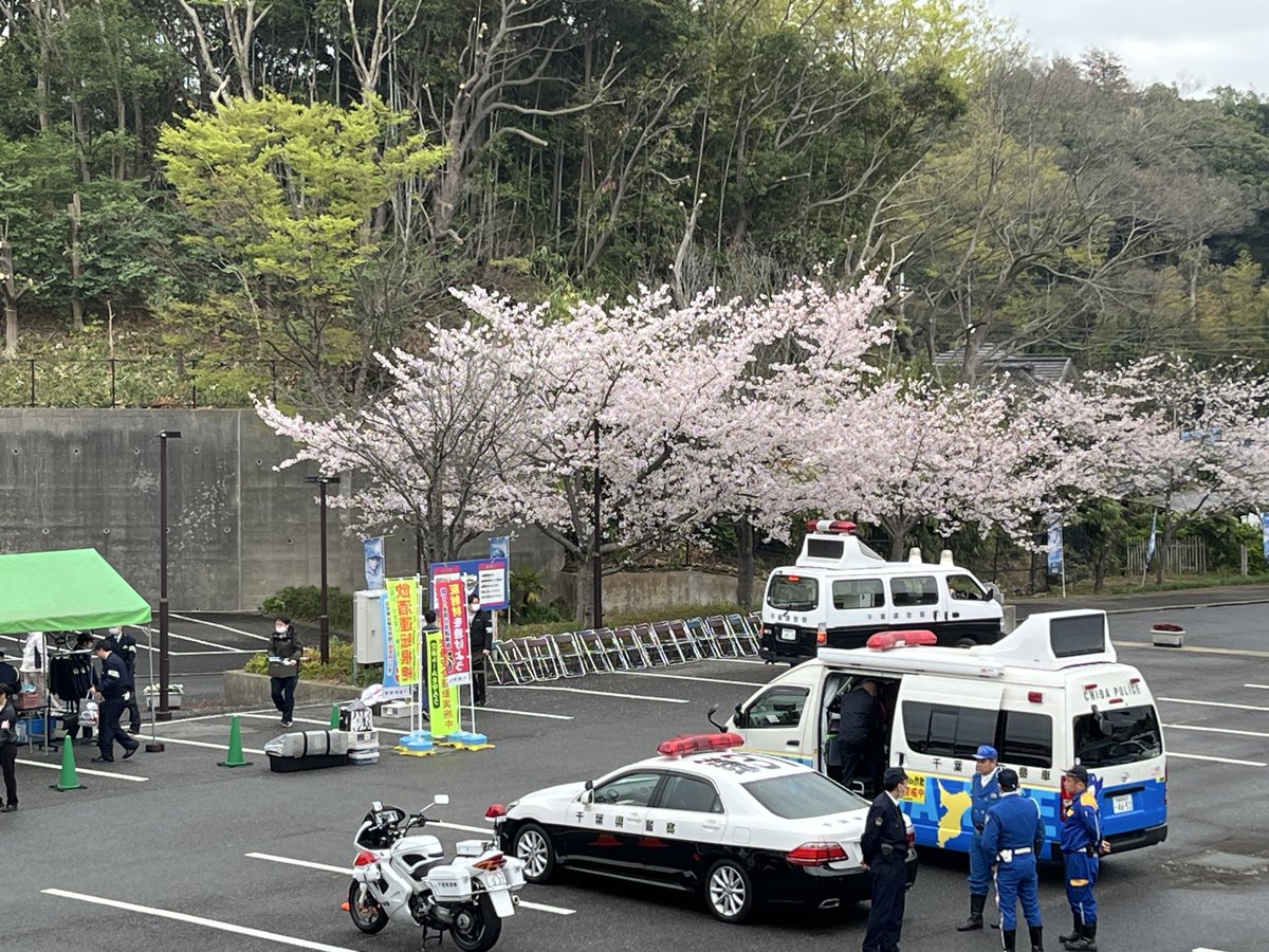 ファイターズ鎌ケ谷スタジアム【公式】 tweet media