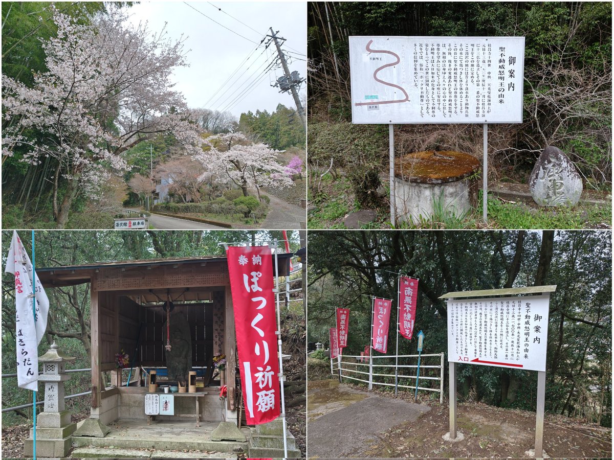 エクシード(雑多アカウント) tweet media