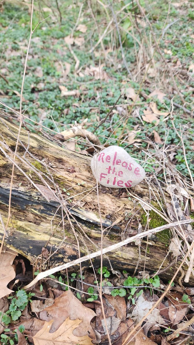 Went for a walk today. I usually walk this trail daily but havent the past 4 days. This rock on top of a log on the trail caught my attention. This was placed sometime since my last walk here less than a week ago. People haven't forgotten and it's not going away. #epsteinfiles