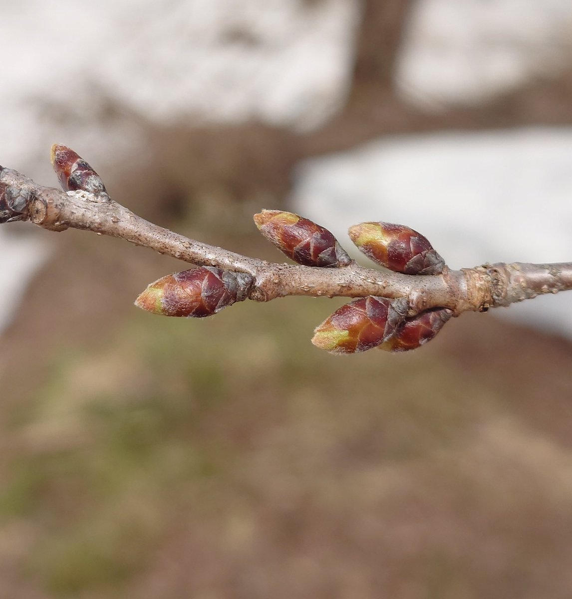 ゆみ👦MetaKozo tweet media