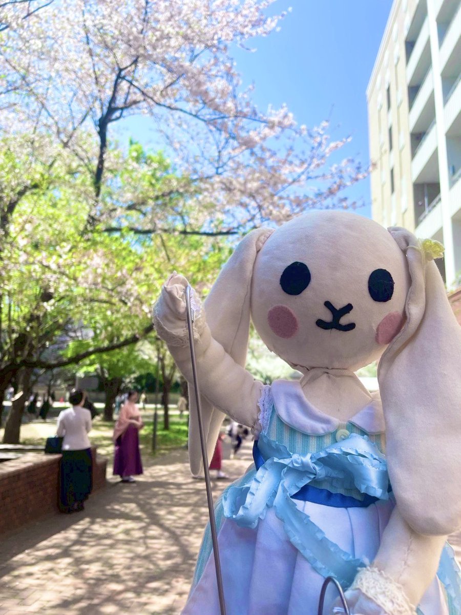 GUjarix309's tweet photo. 4/4(土)本日の新歓も
📍黎明会館309(部室)
のみで行います！
※15時までの実施となります⚠️

🐰「たくさんの人とおしゃべりしたいな！」

 #春から学習院 #春からgu #学習院大学 #児童文化研究会 https://t.co/FqNYA33tPF