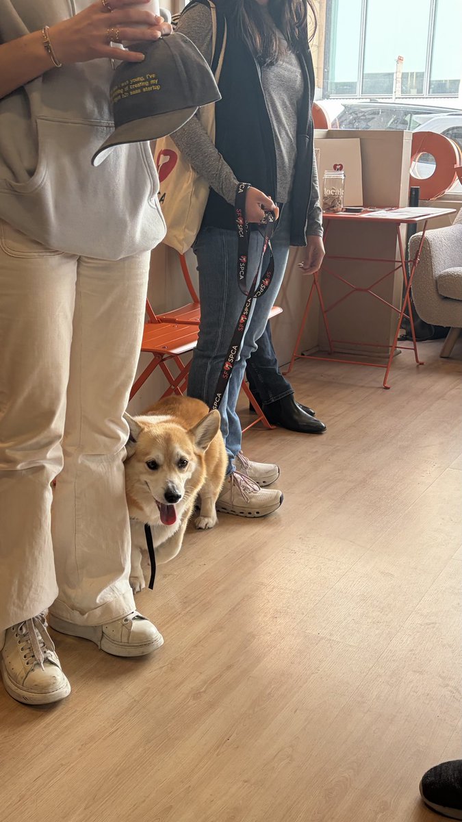 zhou963759's tweet photo. Awww best therapist on Friday☺️ https://t.co/D4EcdTtoZs