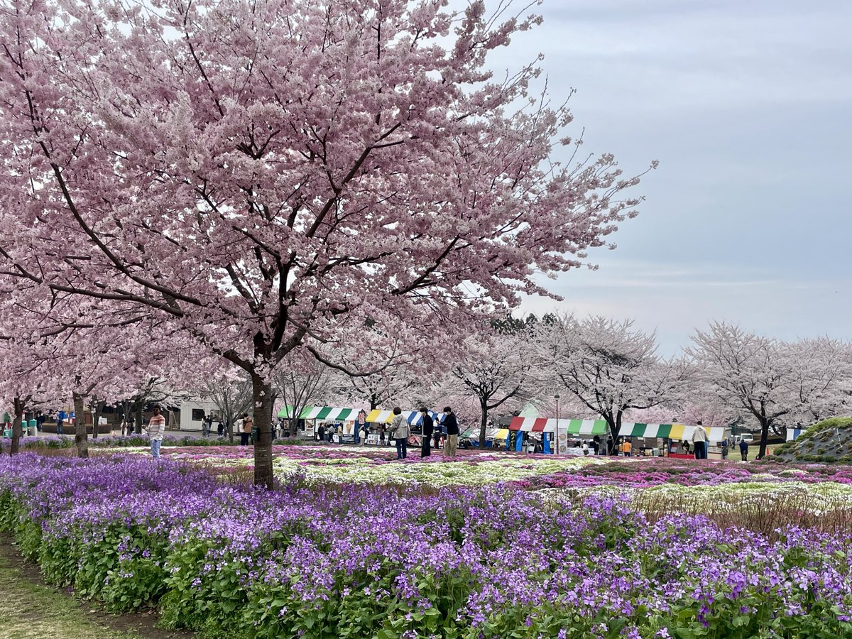 前橋観光コンベンション協会 tweet media