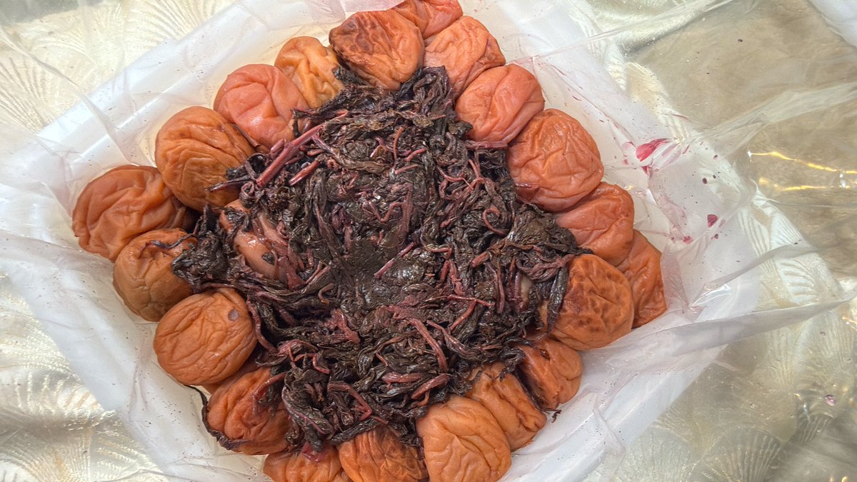 水瀬まなみ tweet media