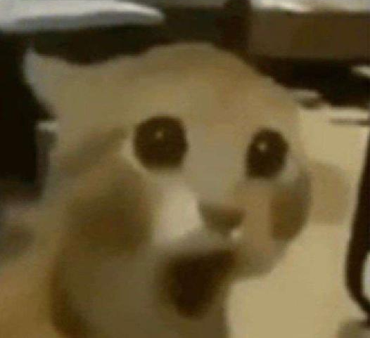 Jolteon ⚡ tweet media