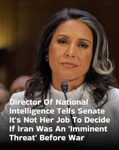 DukusRufus's tweet photo. @its_Lexieroy Tulsi is trying to cover her ass when War Crime charges start getting handed out. 

Joe Kent said “Fuck this. Peace out!” https://t.co/otoCn9hCEt