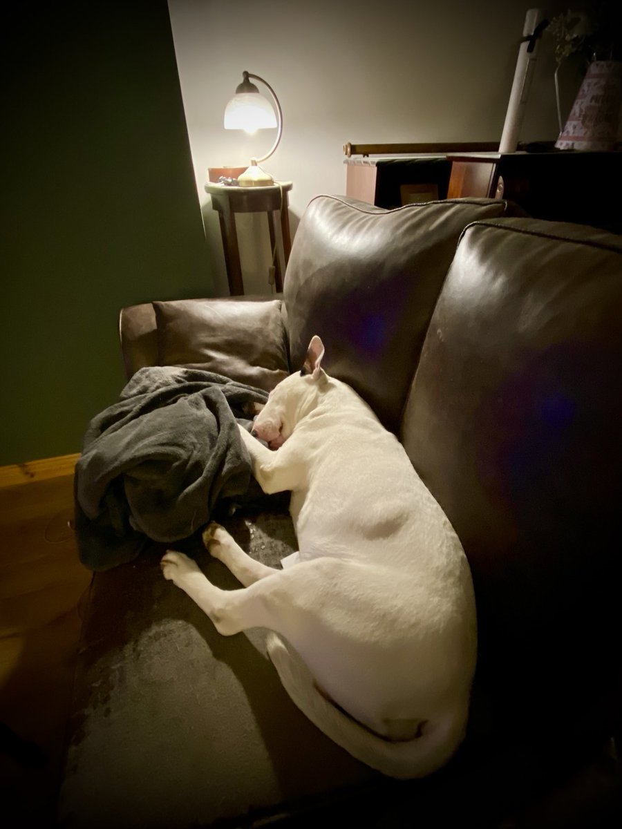 Broom2000 tweet media