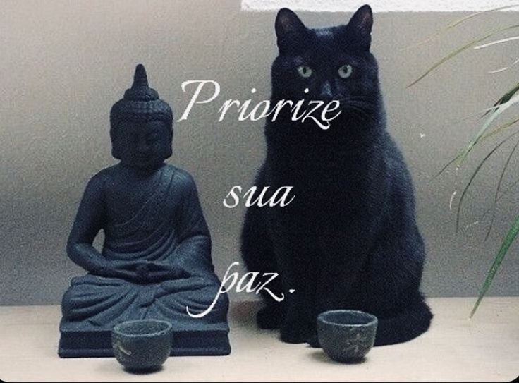 caju #loatwt 🪭 VAI VER O BTS tweet media