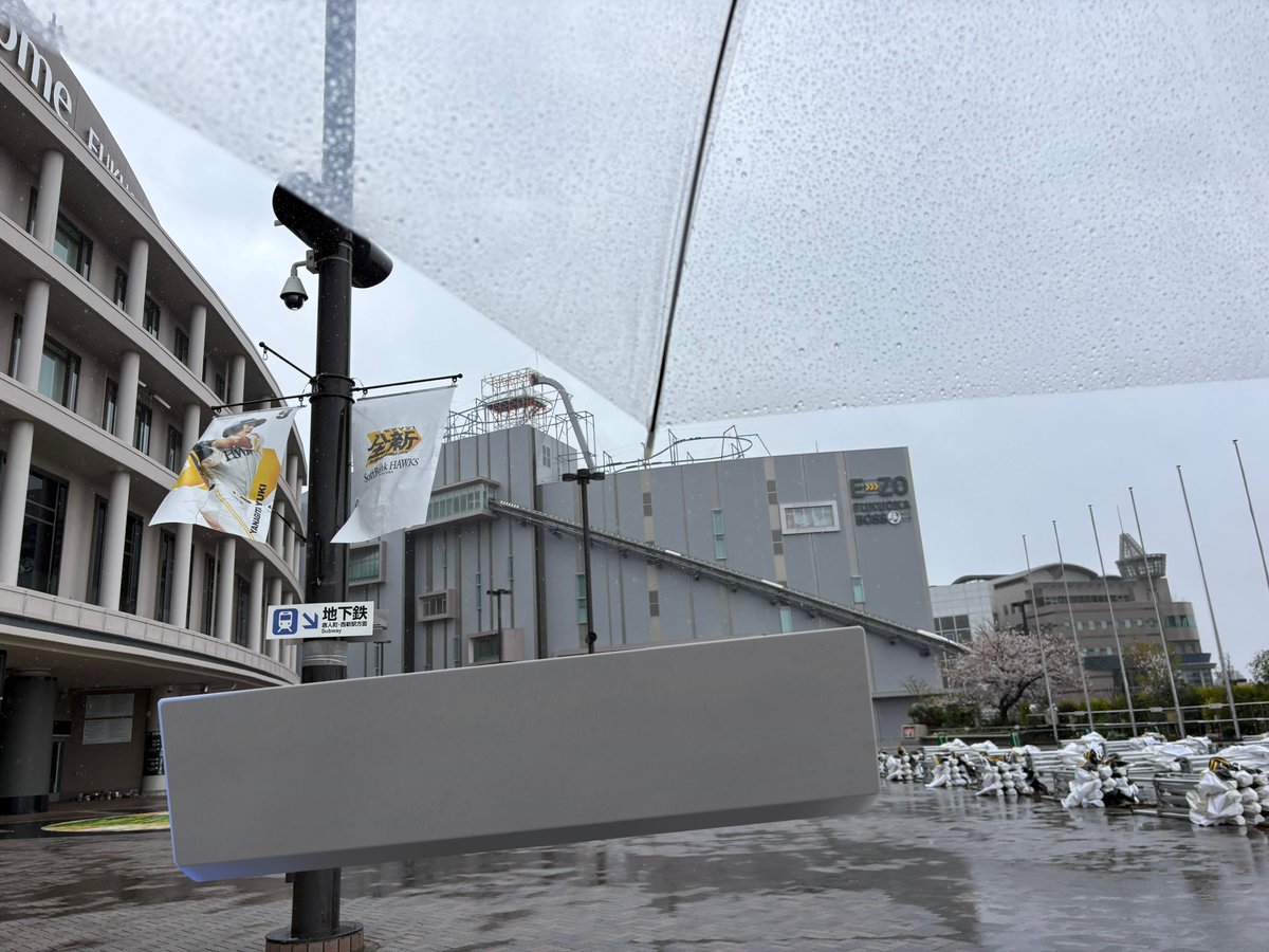 (あんぽんᐖ)＜🐞❤️ tweet media