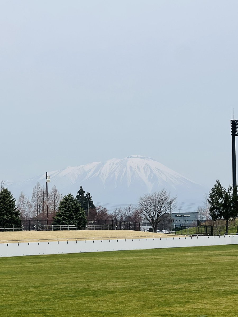 🐯なかぴー NAKA-P🔥 tweet media