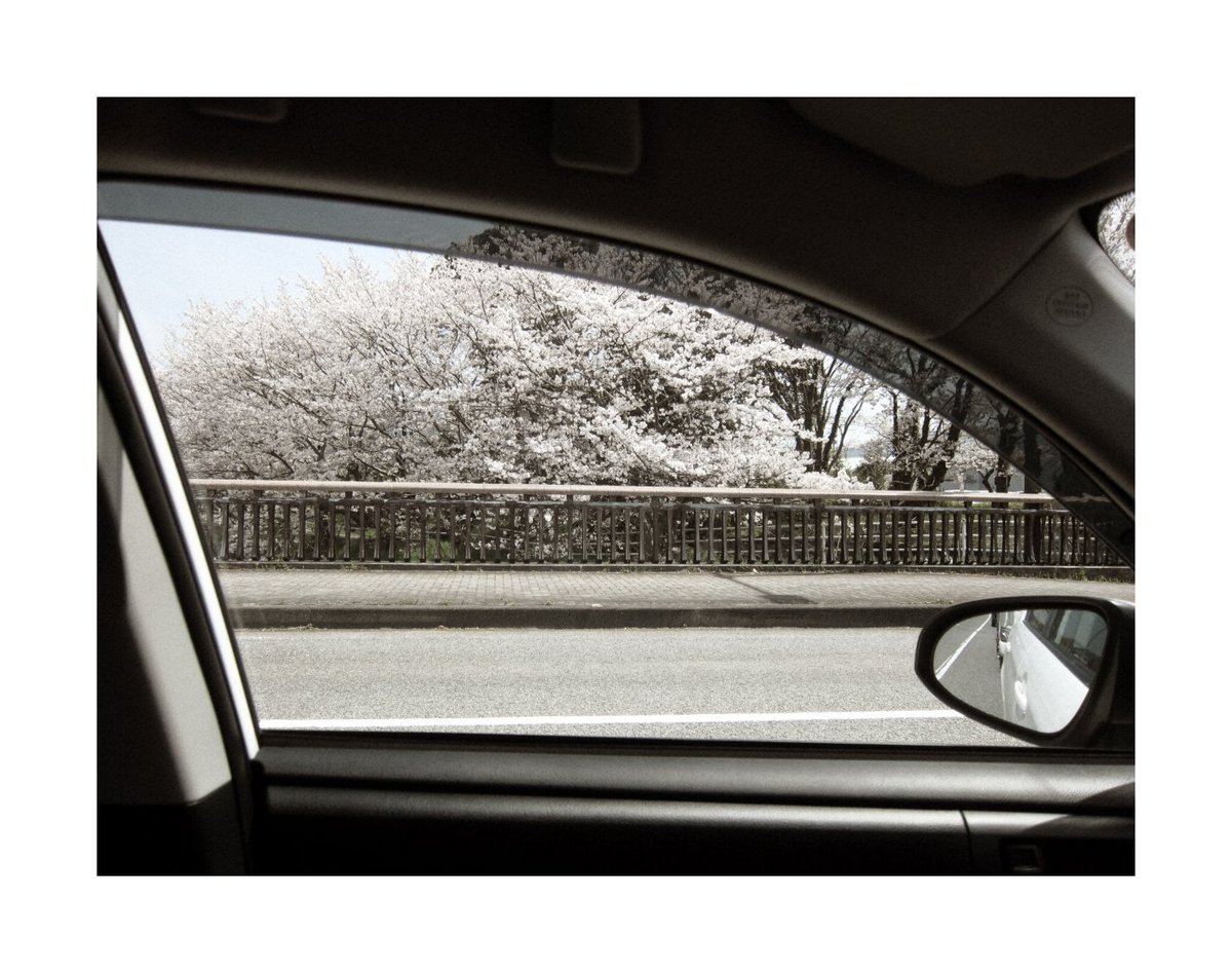 Tetsuji FUJINO | 藤野哲次 tweet media