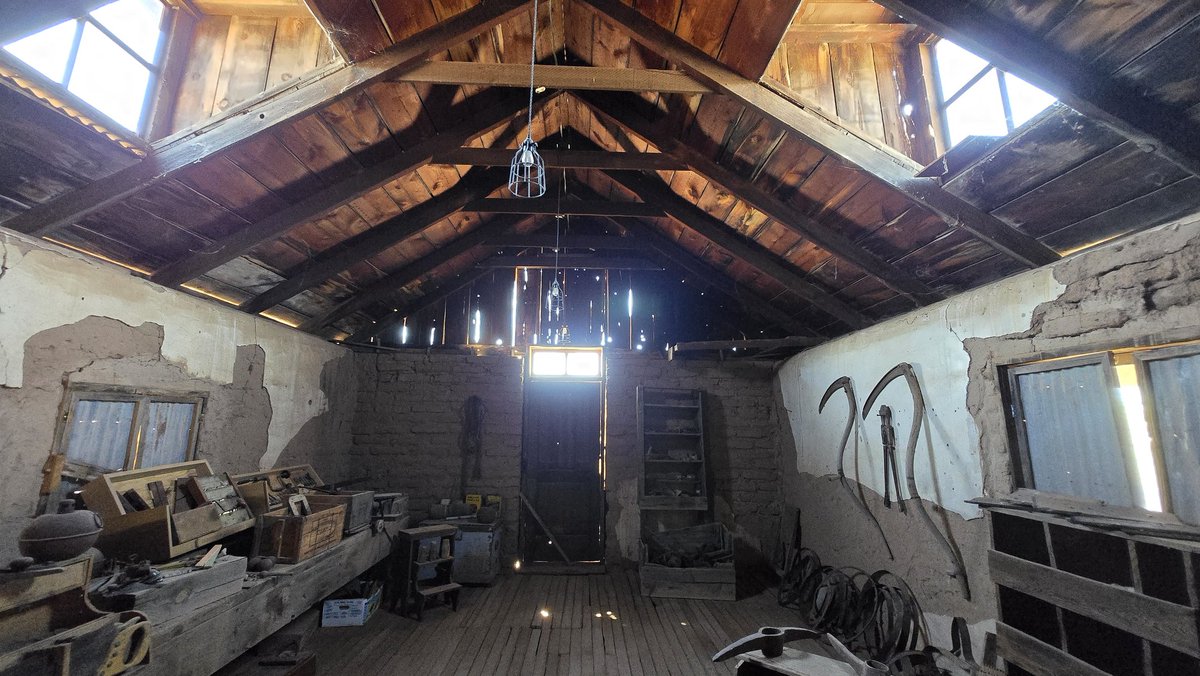 Daisy Daisy tweet media