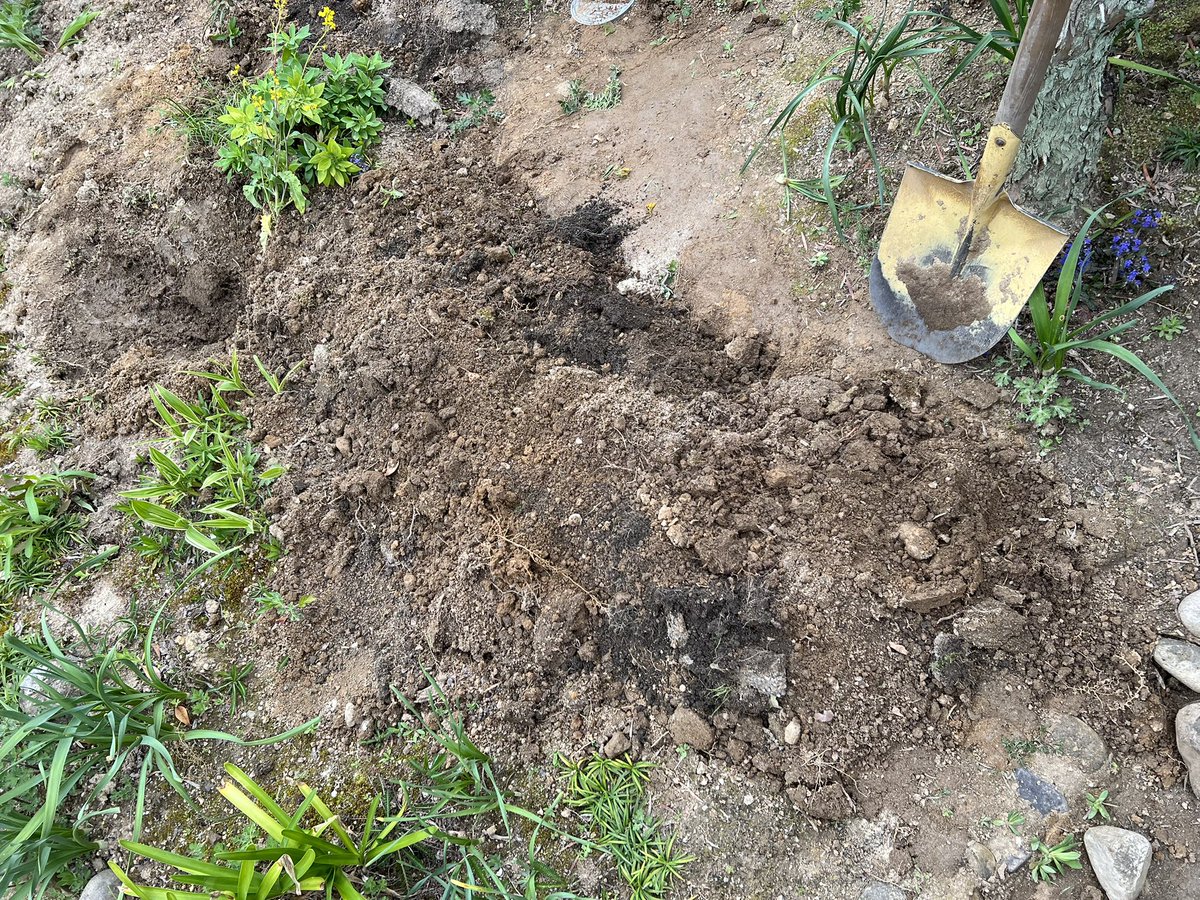 ヤマダシ=テンペスト tweet media